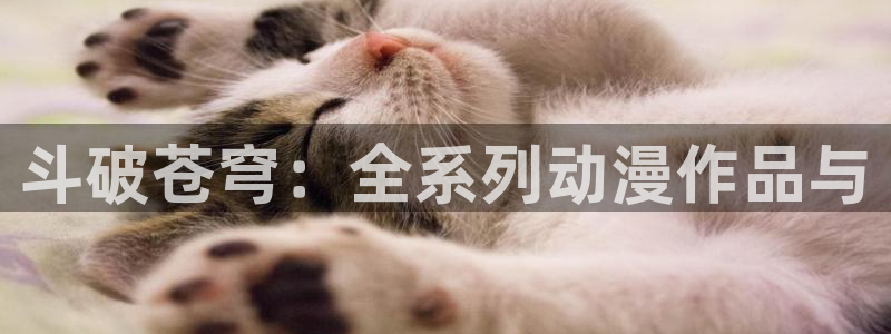 好看的里番动漫网