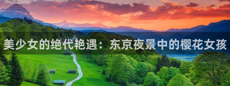 看里番