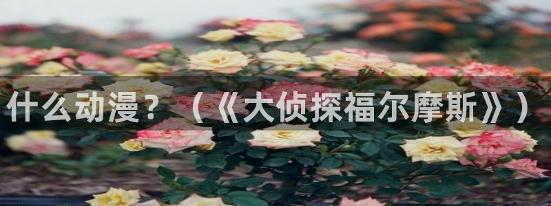里番动漫影院