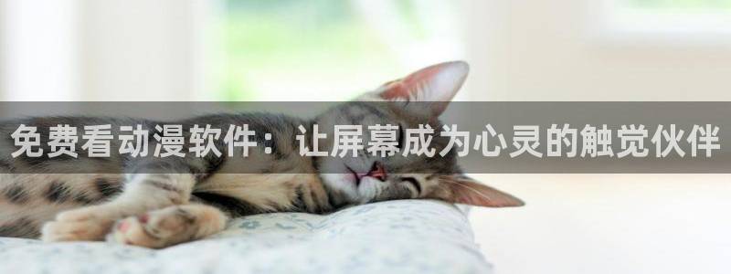 里番动漫风车动漫