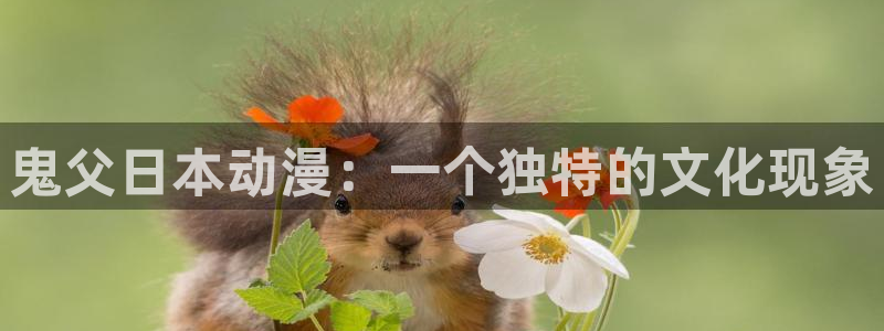 动漫里番有那些