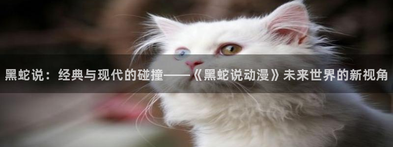 动漫gif里番图片