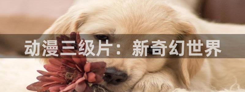 里番在线观看动漫