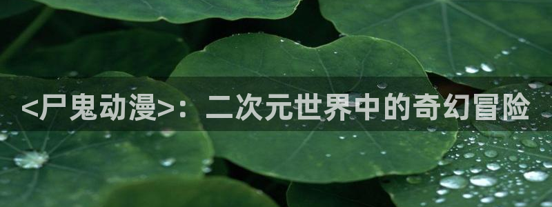 里番动漫的网站