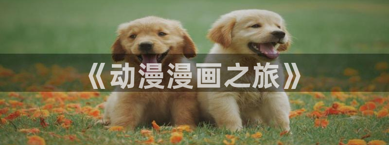 里番成人动漫在线观看