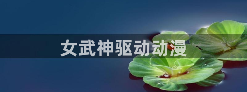 里番动漫在线观动漫