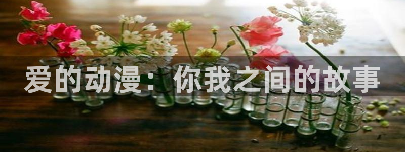 动漫里番资源
