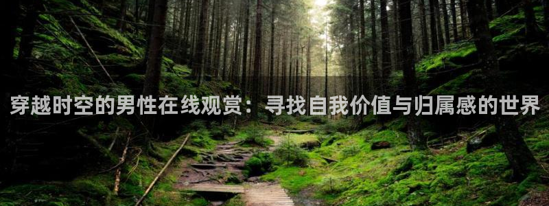 里番动漫哪个更好看：穿越时空的男性在线观赏：寻找自我价值与归属感的世界