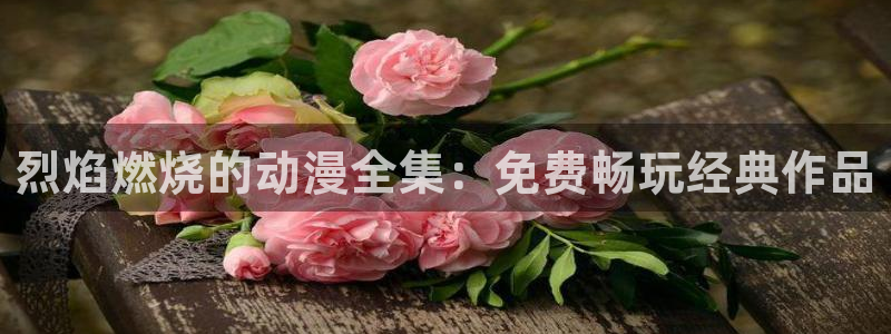 口工里番动漫