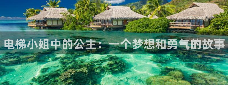 3d同人动漫里番