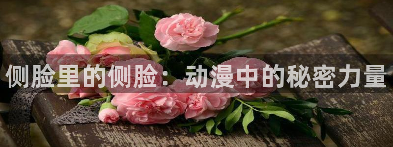 新番里番动漫