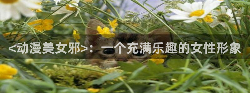 3d 里番动漫在线观看