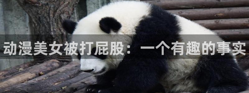 里番动漫大佬