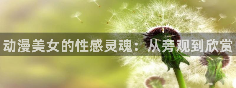 里番动漫日本：动漫美女的性感灵魂：从旁观到欣赏