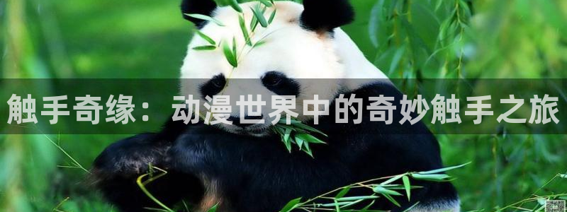 里番成人动漫在线观看：触手奇缘：动漫世界中的奇妙触手之旅