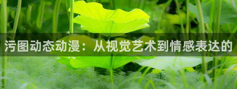 动漫同人里番：污图动态动漫：从视觉艺术到情感表达的